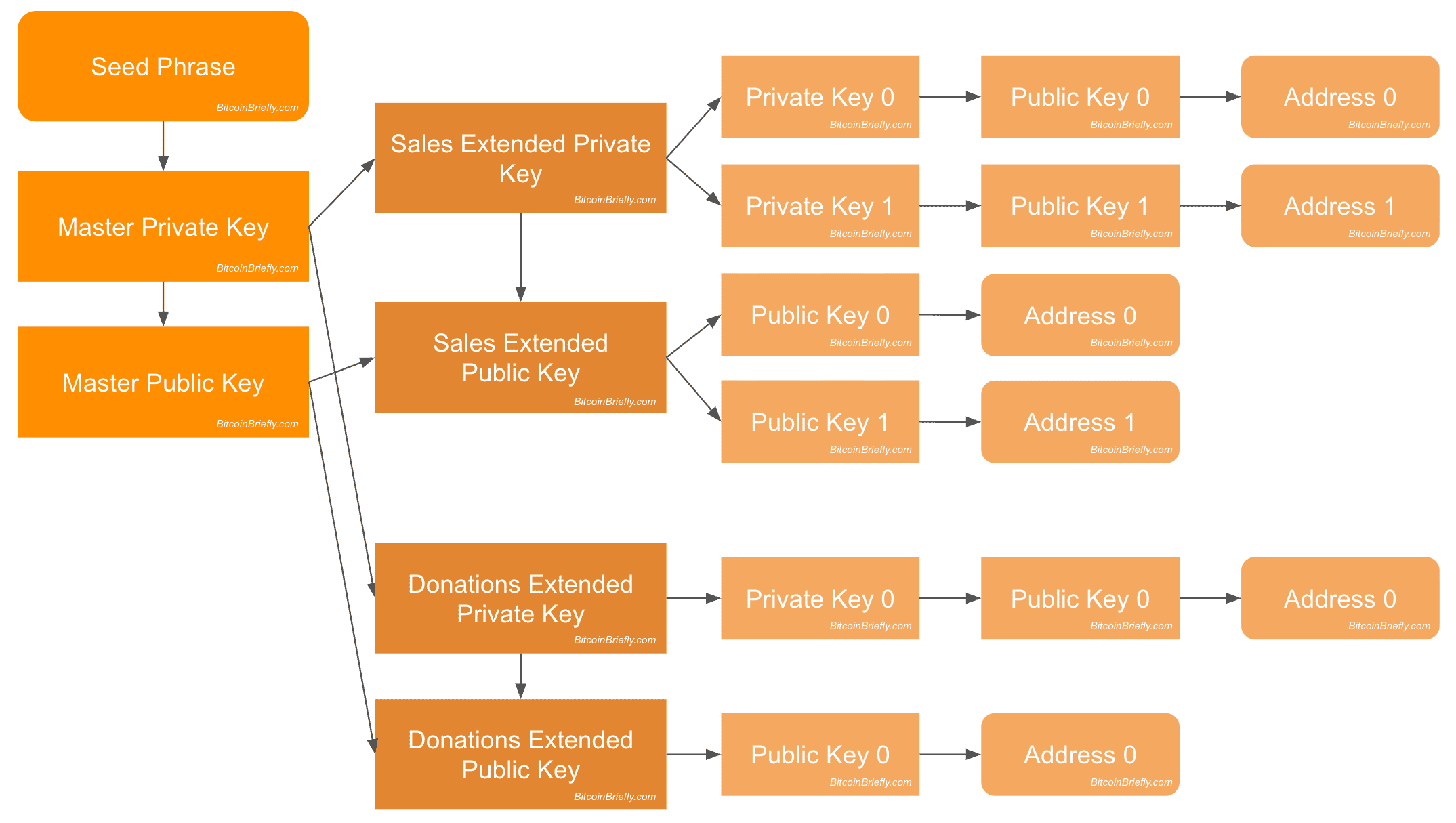 Difference Between Seed Phrase And Private Key