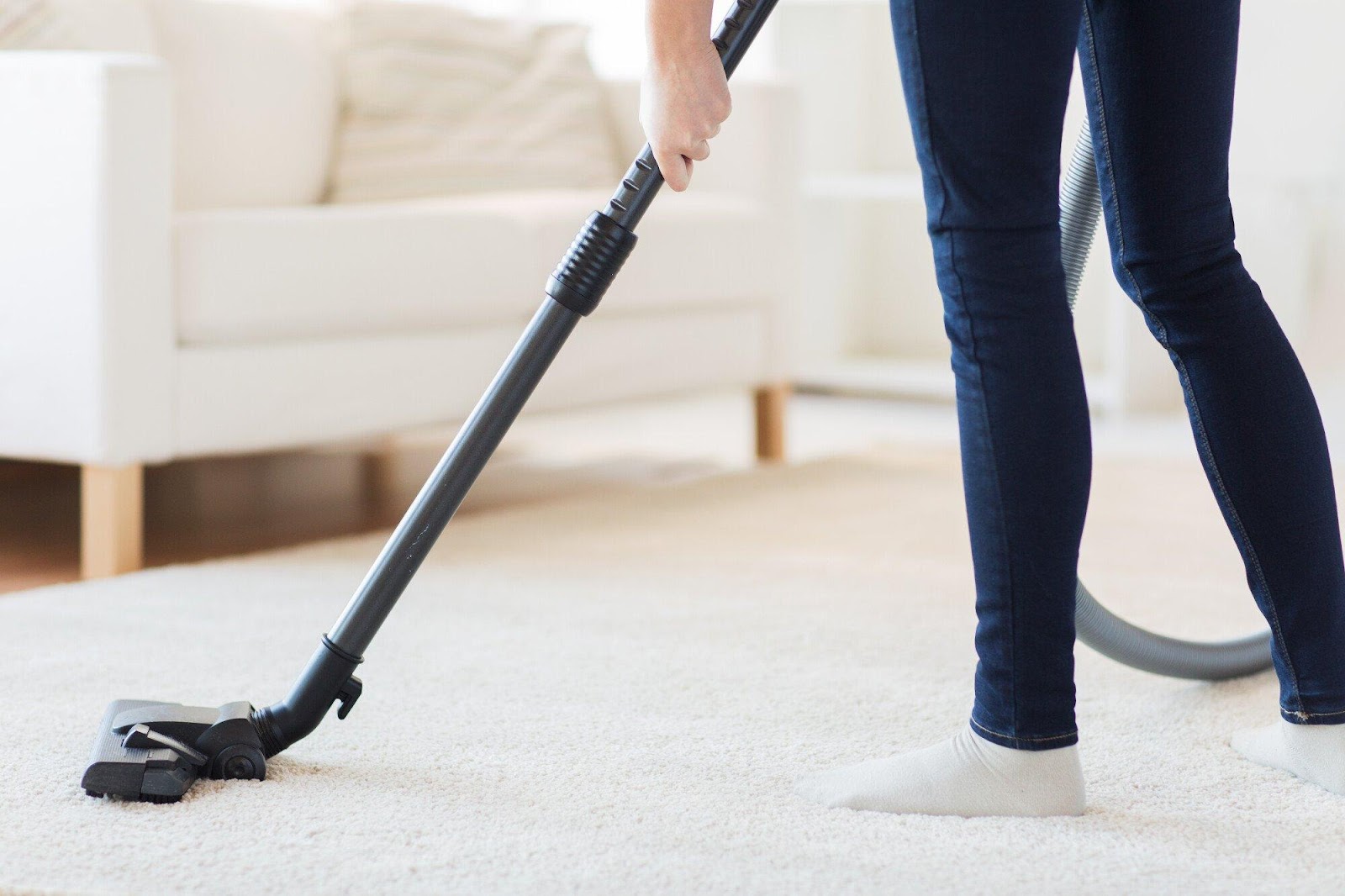 Top 8 Rug Cleaning Services to Consider for Your Home