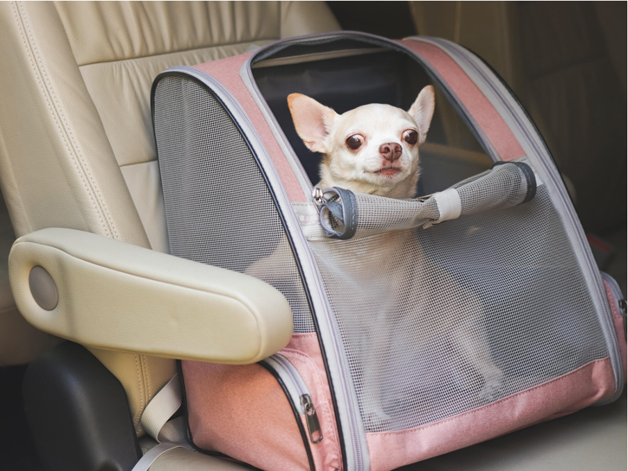 4 Ways to Choose the Perfect Dog Bag Carrier