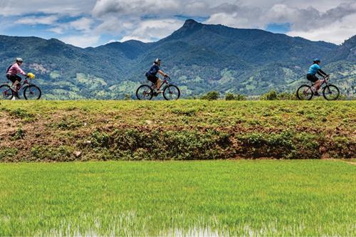 Important Preparations for Signing Up for a Cycling Tour