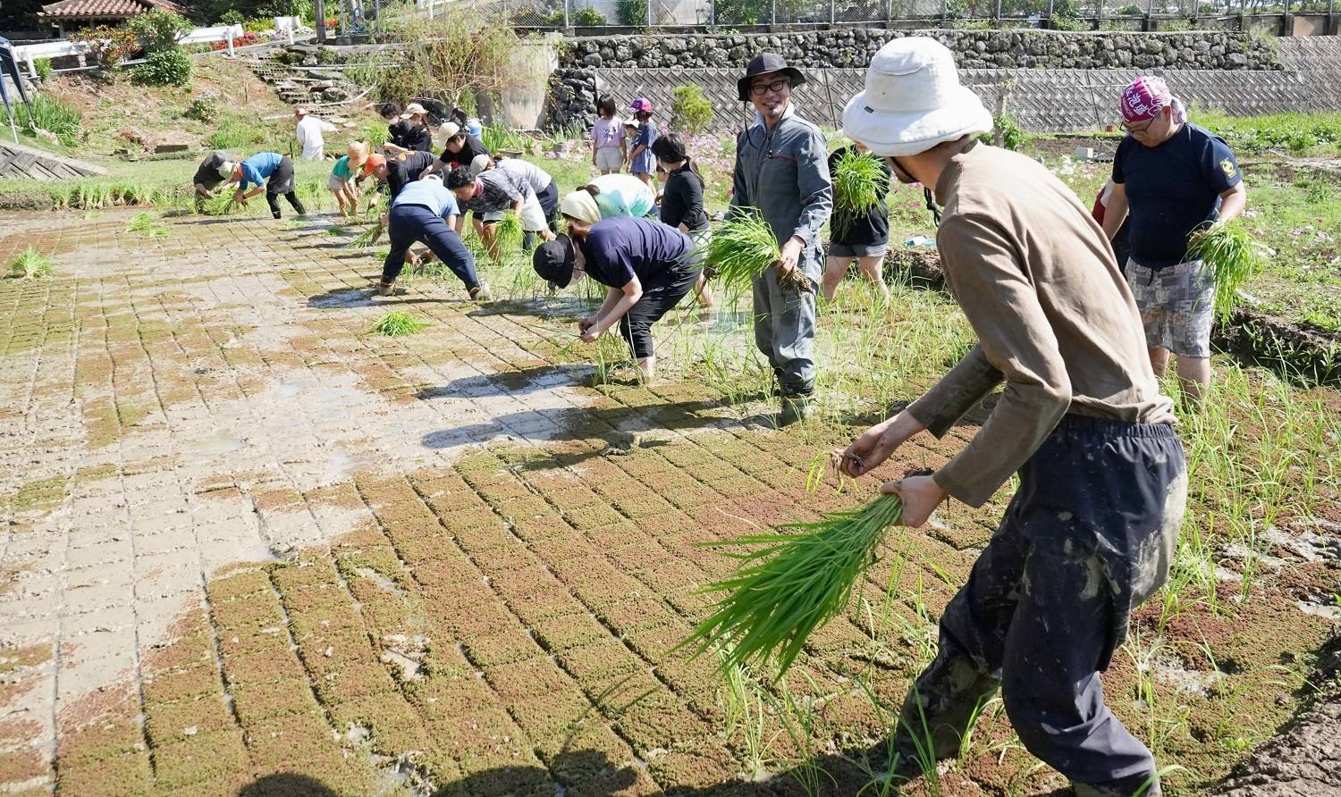 What's Unique About Okinawa Farm and Distillery?