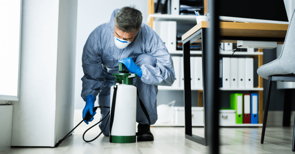 Pest Management - 10 Reasons to Practice it in Workplace