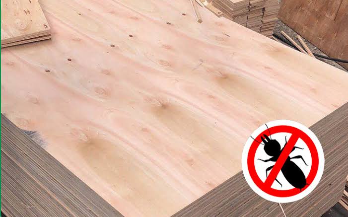 Why Termite-Proof Plywood Is Ideal for Home Renovation Projects